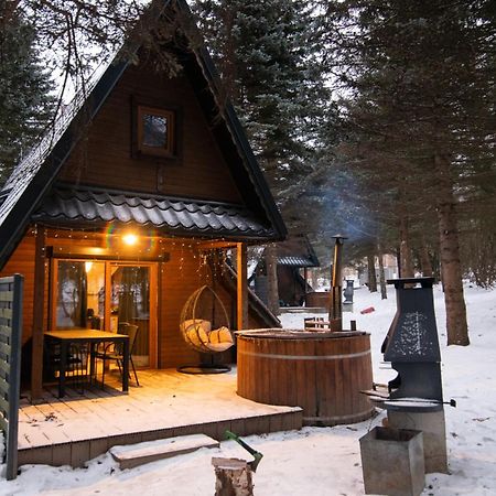 Oliwne Wzgorza Villa Stronie Śląskie Exteriör bild