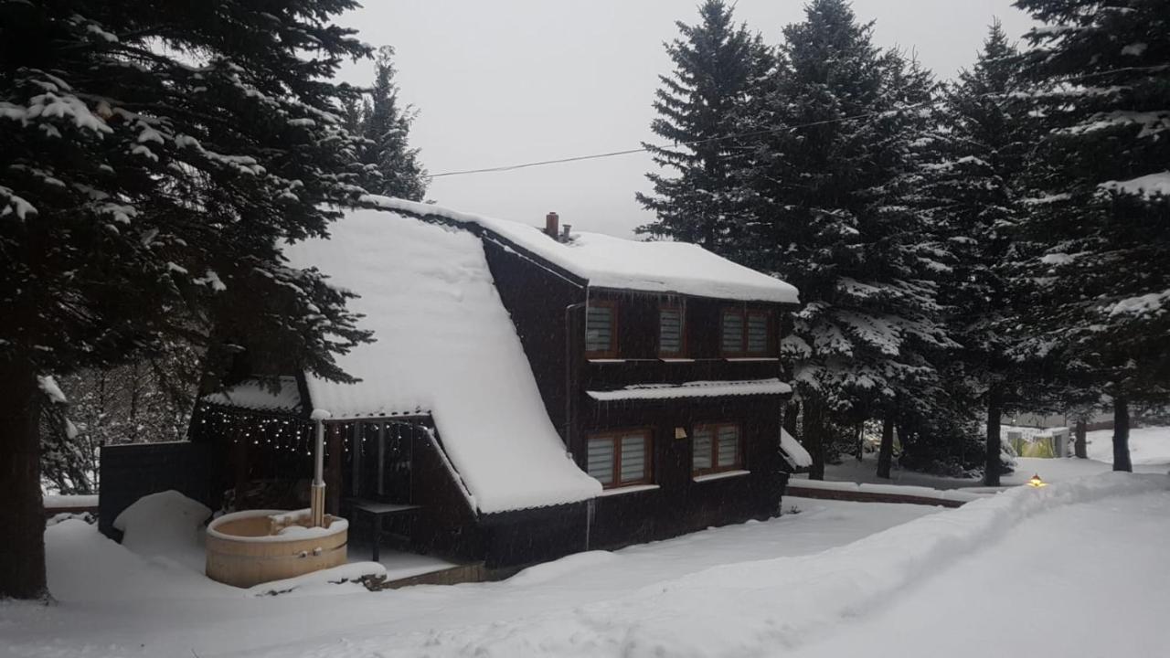 Oliwne Wzgorza Villa Stronie Śląskie Exteriör bild