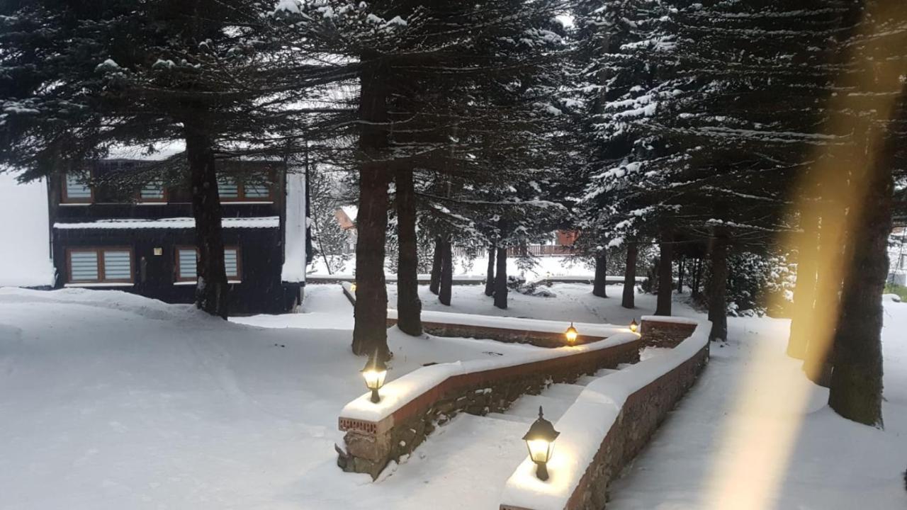 Oliwne Wzgorza Villa Stronie Śląskie Exteriör bild